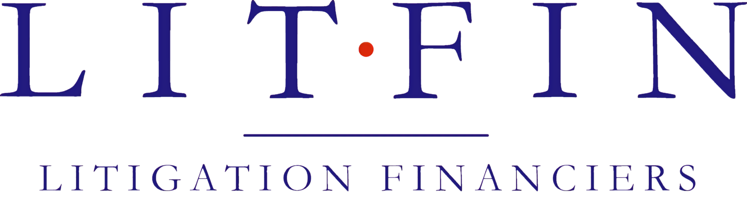 logo litfin litigation financiers